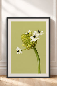 HOMEPACK Ahşap Çerçeveli Tablo Çerçeveli Poster Sanatsal Modern Duvar Dekoru BEK-8444