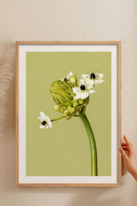 HOMEPACK Ahşap Çerçeveli Tablo Çerçeveli Poster Sanatsal Modern Duvar Dekoru BEK-8444