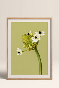 HOMEPACK Ahşap Çerçeveli Tablo Çerçeveli Poster Sanatsal Modern Duvar Dekoru BEK-8444