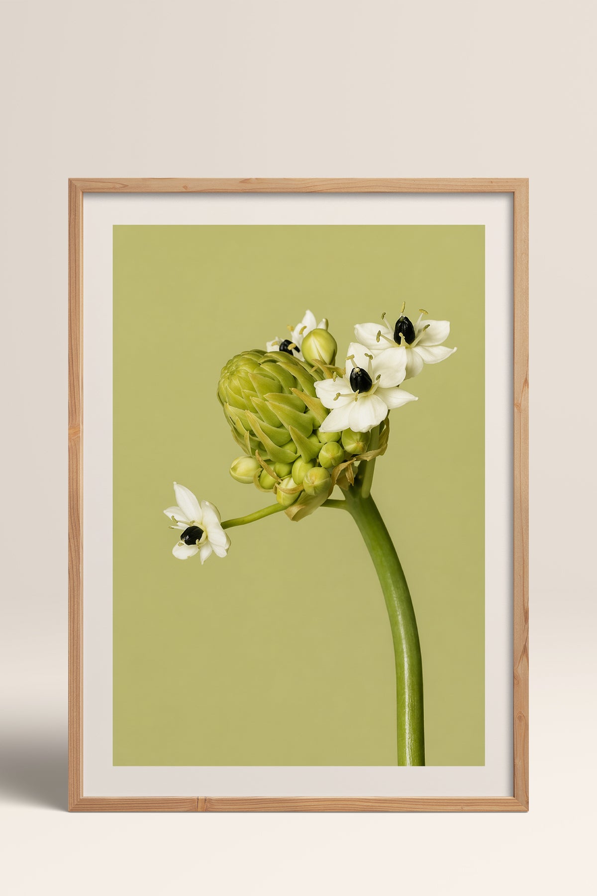 HOMEPACK Ahşap Çerçeveli Tablo Çerçeveli Poster Sanatsal Modern Duvar Dekoru BEK-8444