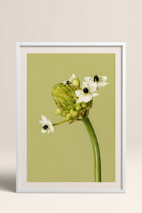 HOMEPACK Ahşap Çerçeveli Tablo Çerçeveli Poster Sanatsal Modern Duvar Dekoru BEK-8444