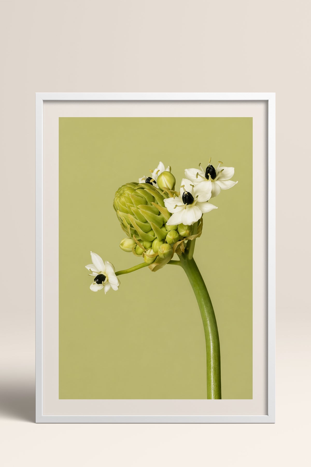 HOMEPACK Ahşap Çerçeveli Tablo Çerçeveli Poster Sanatsal Modern Duvar Dekoru BEK-8444