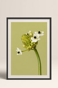HOMEPACK Ahşap Çerçeveli Tablo Çerçeveli Poster Sanatsal Modern Duvar Dekoru BEK-8444