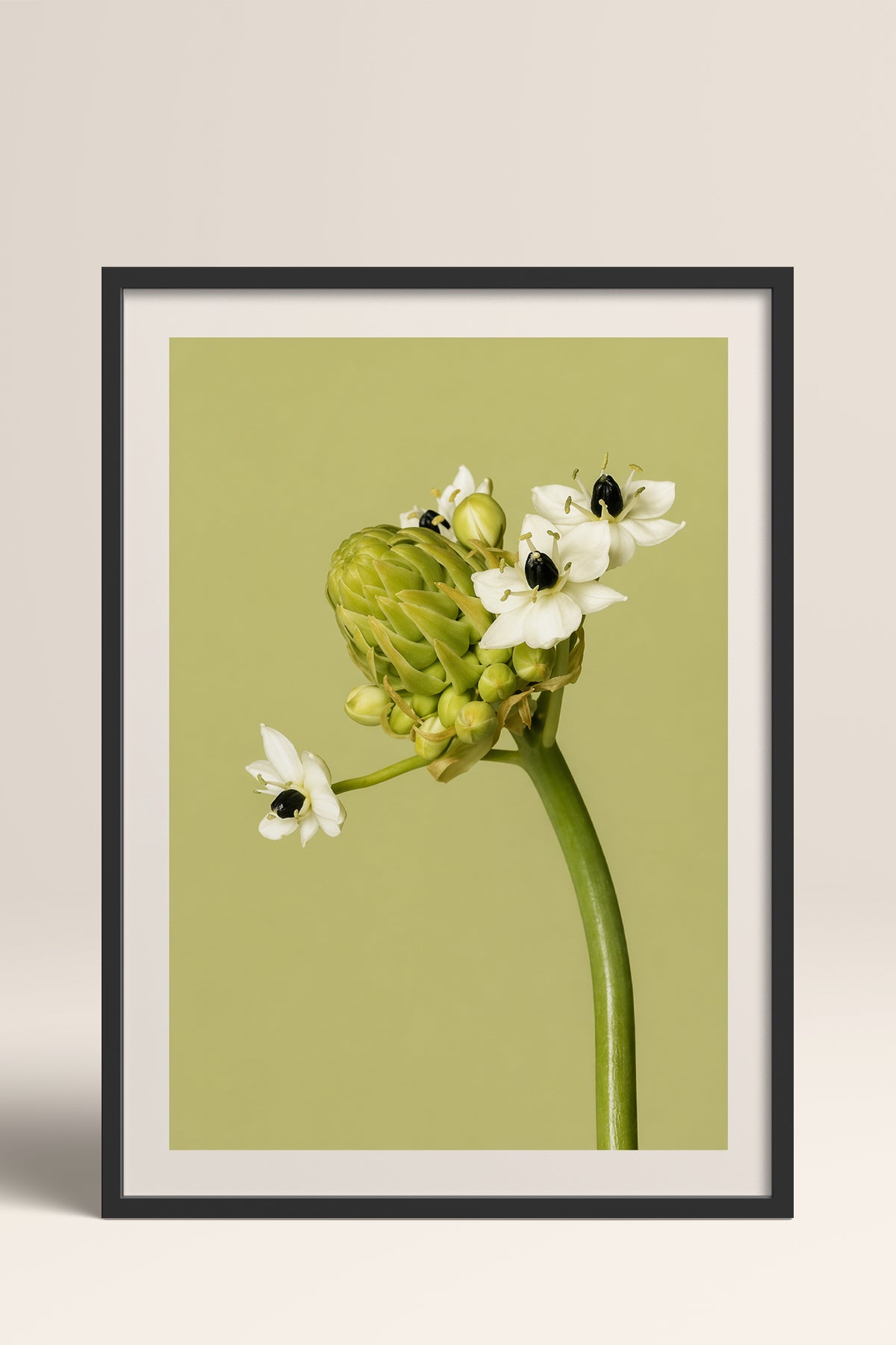 HOMEPACK Ahşap Çerçeveli Tablo Çerçeveli Poster Sanatsal Modern Duvar Dekoru BEK-8444