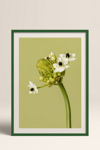 HOMEPACK Ahşap Çerçeveli Tablo Çerçeveli Poster Sanatsal Modern Duvar Dekoru BEK-8444