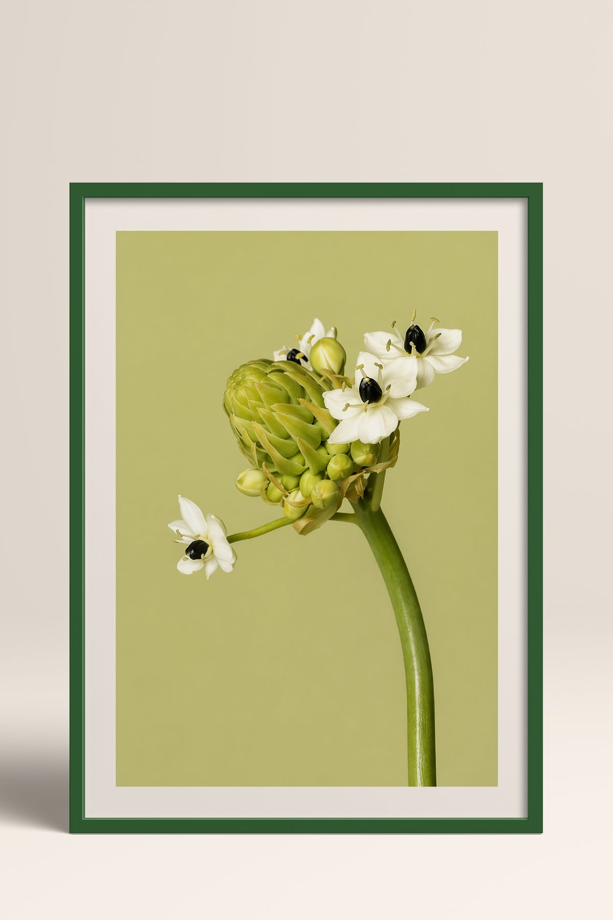 HOMEPACK Ahşap Çerçeveli Tablo Çerçeveli Poster Sanatsal Modern Duvar Dekoru BEK-8444