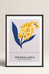 HOMEPACK Ahşap Çerçeveli Tablo Çerçeveli Poster Sanatsal Modern Duvar Dekoru BLOSSOM-32