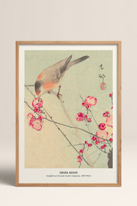 HOMEPACK Ahşap Çerçeveli Tablo Çerçeveli Poster Sanatsal Modern Duvar Dekoru JPN-07