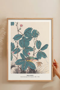 HOMEPACK Ahşap Çerçeveli Tablo Çerçeveli Poster Sanatsal Modern Duvar Dekoru JPN-019