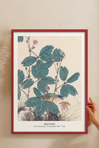 HOMEPACK Ahşap Çerçeveli Tablo Çerçeveli Poster Sanatsal Modern Duvar Dekoru JPN-019