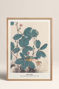 HOMEPACK Ahşap Çerçeveli Tablo Çerçeveli Poster Sanatsal Modern Duvar Dekoru JPN-019