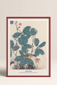 HOMEPACK Ahşap Çerçeveli Tablo Çerçeveli Poster Sanatsal Modern Duvar Dekoru JPN-019